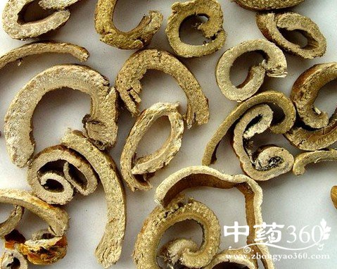 <a href='https://m.zhongyao360.com/z/sangbaipi/'>ɣƤ</a>ĹЧ