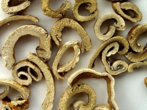 ɣ��Ƥ�Ĺ�Ч����