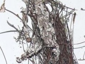 ͨ���ݵĹ�Ч����