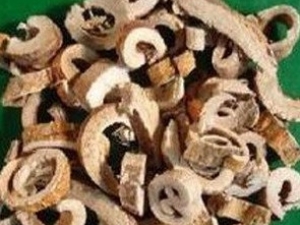 ɣ���Ĺ�Ч����