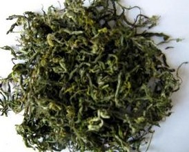 ɣѿ�Ĺ�Ч����