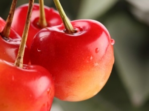 ����Ů������Ӧ���Щʲô