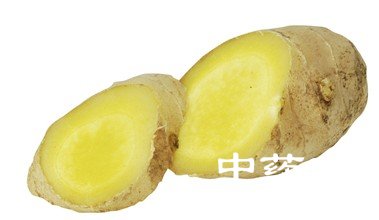 生姜的药理作用及其使用禁忌