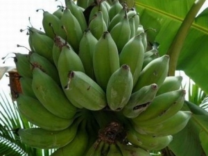 ��Ƥ�Ĺ�Ч����