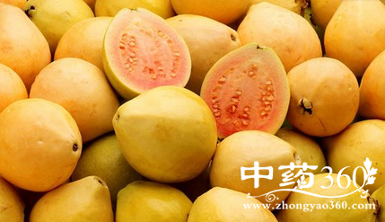 <a href='https://www.zhongyao360.com/z/fanshiliu/' target='_blank'>ʯ</a>,Ӫֵ,Է