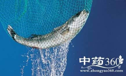 �����Ӫ����ֵ��������Ⱥ