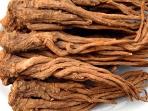 ����Ĺ�Ч������