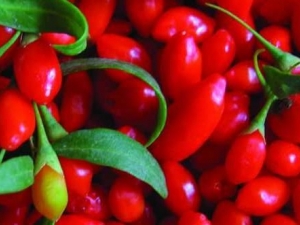 ��轵Ĺ�Ч������