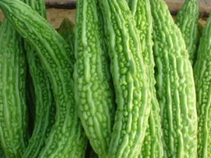 ��ϵ�Ӫ����ֵ�빦Ч����