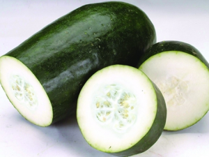 ���ϵ�Ӫ����ֵ�빦Ч����