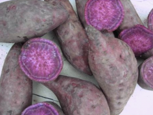 ������Ӫ����ֵ�빦Ч����