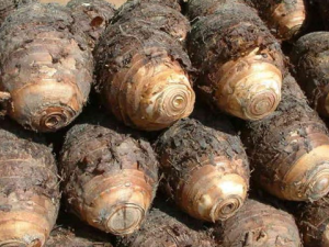 ��ͷ��Ӫ����ֵ�빦Ч����