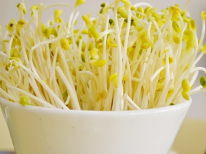 ��ѿ��Ӫ����ֵ�빦Ч����