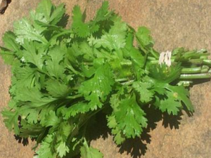 ��˵�Ӫ����ֵ�빦Ч����