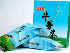 ţ����Ӫ����ֵ�빦Ч