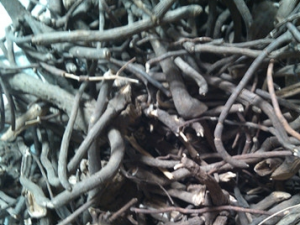 ��צ�����Ĺ�Ч������