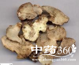 <a href='https://www.zhongyao360.com/z/baiji/' target='_blank'>ܸ</a>÷