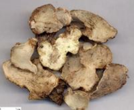 ��ܸ�����������÷�����