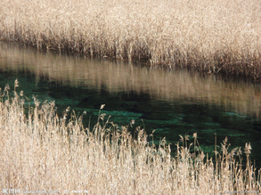 «έ����������