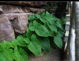 �����������������÷�����