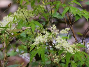 �����������������÷�����