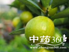 酸橙功能主治与用法用量