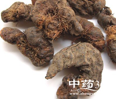 <a href='https://www.zhongyao360.com/z/xuejie/' target='_blank'>Ѫ</a>ĹЧý˵ȫ