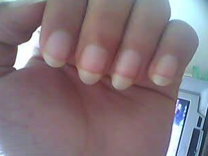 ָ�������������Ҳ�ǲ�