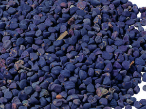 ��ҩ��ʯ����