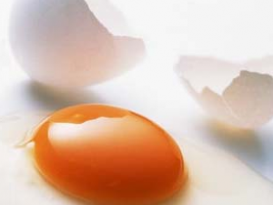 ά���˶Լ���������