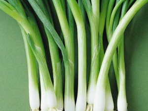 ������е�����