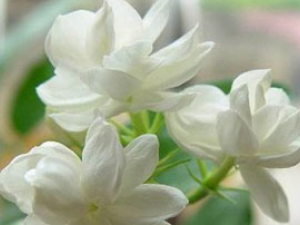 �����㲻֪�������ܣ�