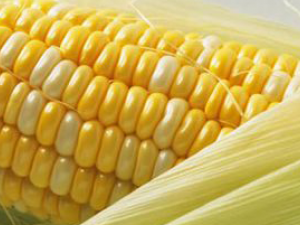 ���շ����·���