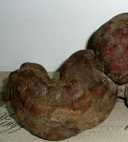 �����ڲ����