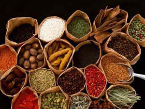 ��ҩ�ε���ͷ�θ�Ѫѹ�鷽