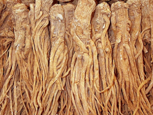 �̵㵱��Ĺ�Ч������