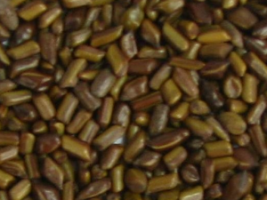 �����ӵĹ�Ч������