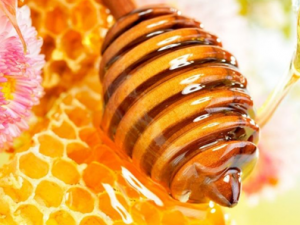 ���۵Ĺ�Ч������