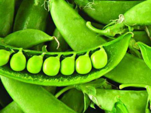 ���׻����߹��Ƽ�