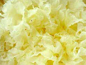 ����5����ҩ��Ĥ�������������