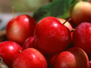 ƻ�������׹�Ч