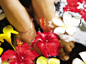 ������ҽҩ�ݽŵĽ���