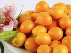 Ů�Զ�����ν�����