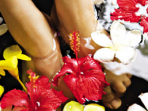 �ջ��ݽŰ��� �ɽ��ݽ�ůθ