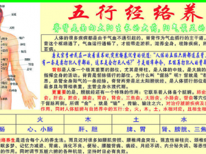 ����ҲҪ������