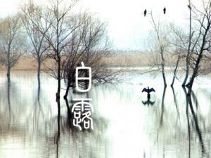 ��¶�Ժ���������