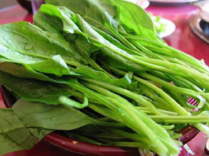 �̵��紺��������������