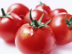 �̵�����Ŷ���ʳ��