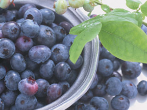 ������ݮԤ������֢