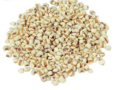 �쵾���ࡡ�̲���Ѫҩ��